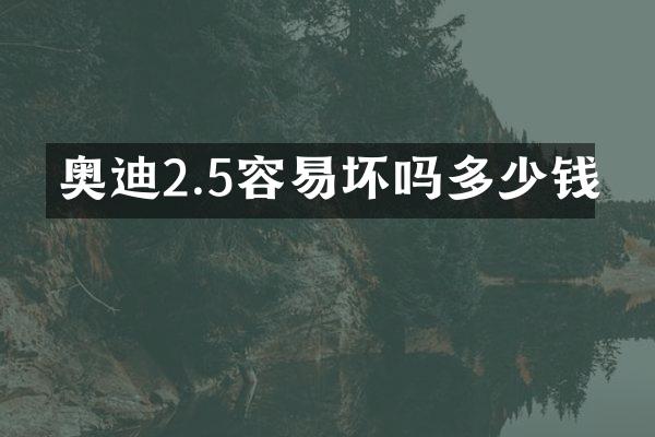 奥迪2.5容易坏吗多少钱