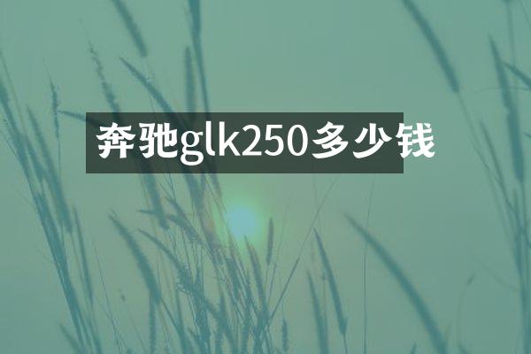 奔驰glk250多少钱