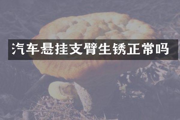 汽车悬挂支臂生锈正常吗