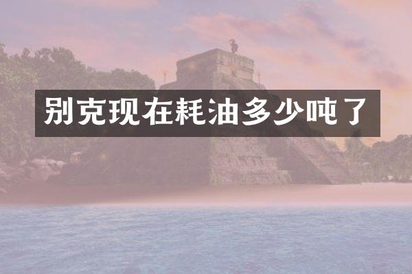 别克现在耗油多少吨了