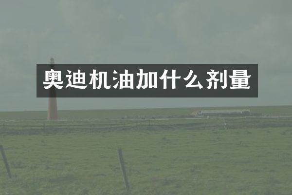 奥迪机油加什么剂量