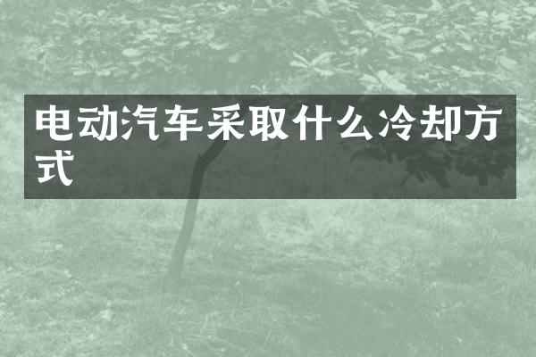 电动汽车采取什么冷却方式