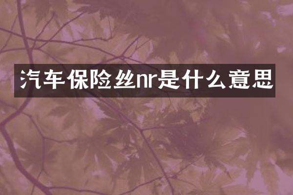 汽车保险丝nr是什么意思