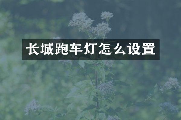 长城跑车灯怎么设置