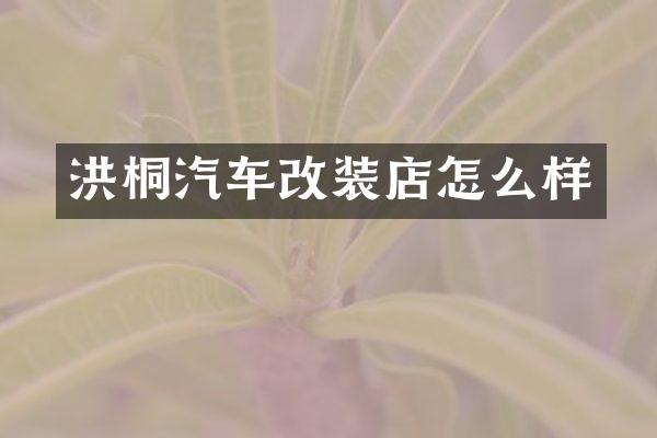 洪桐汽车改装店怎么样
