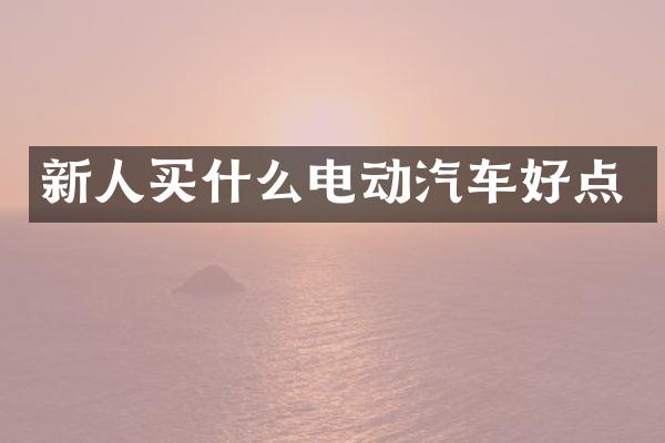 新人电动汽车好点