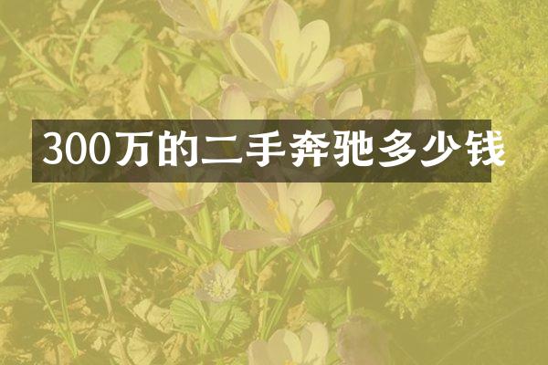 300万的二手奔驰多少钱