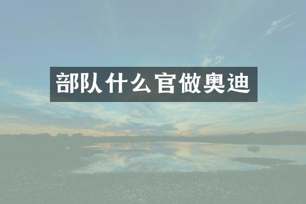 部队什么官做奥迪