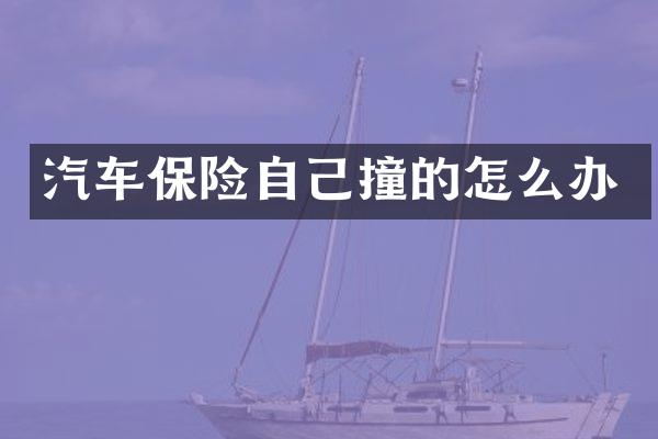 汽车保险自己撞的怎么办