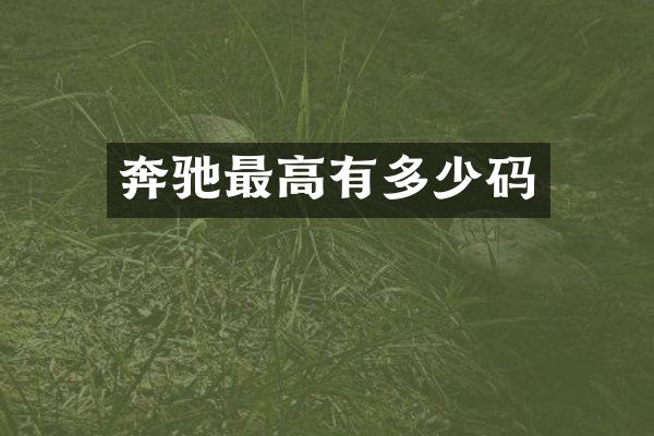 奔驰最高有多少码