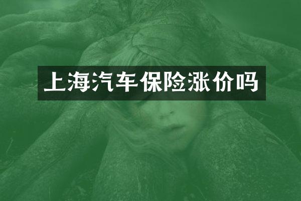 上海汽车保险涨价吗
