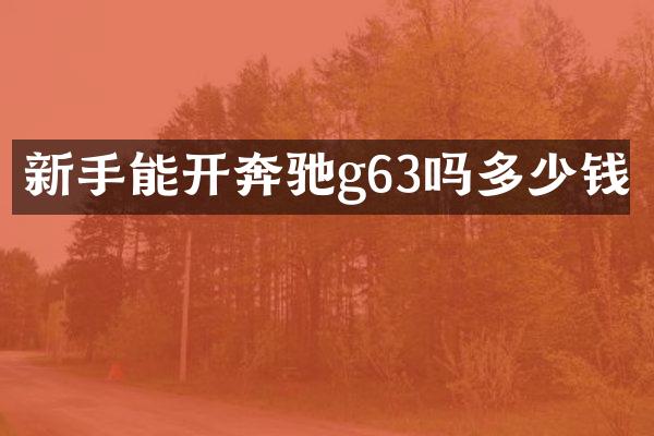 新手能开奔驰g63吗多少钱
