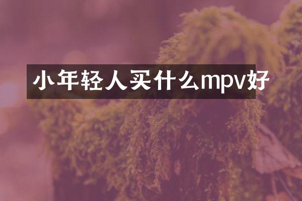 小年轻人mpv好