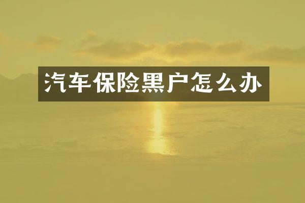 汽车保险黑户怎么办
