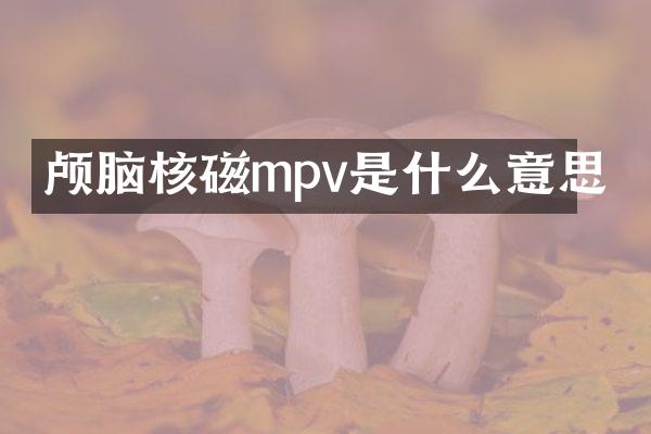 颅脑核磁mpv是什么意思