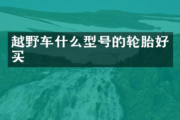 越野车什么型号的轮胎好买
