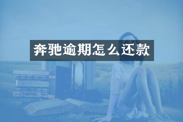 奔驰逾期怎么还款