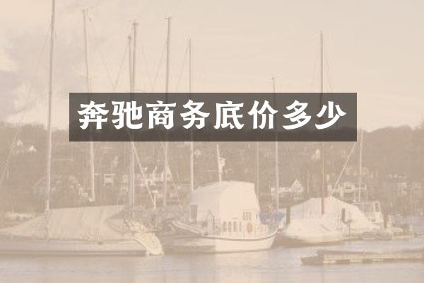 奔驰商务底价多少