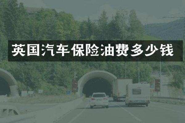 英国汽车保险油费多少钱