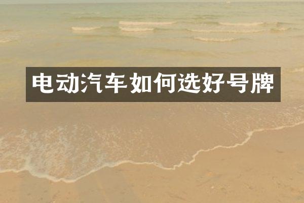 电动汽车如何选好号牌