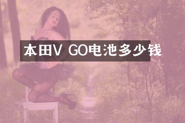 本田V GO电池多少钱