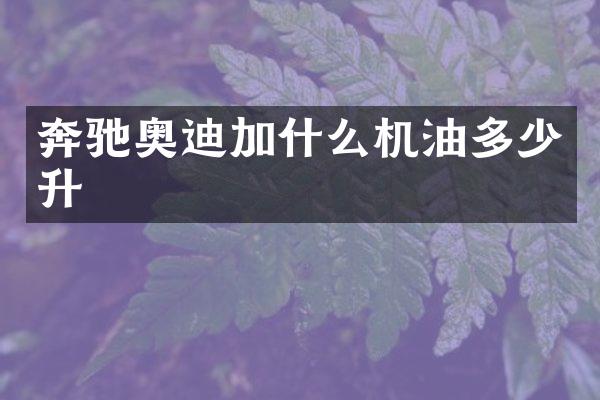 奔驰奥迪加什么机油多少升