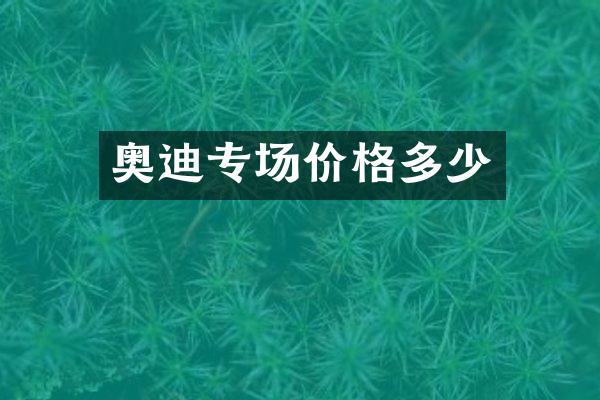 奥迪专场价格多少
