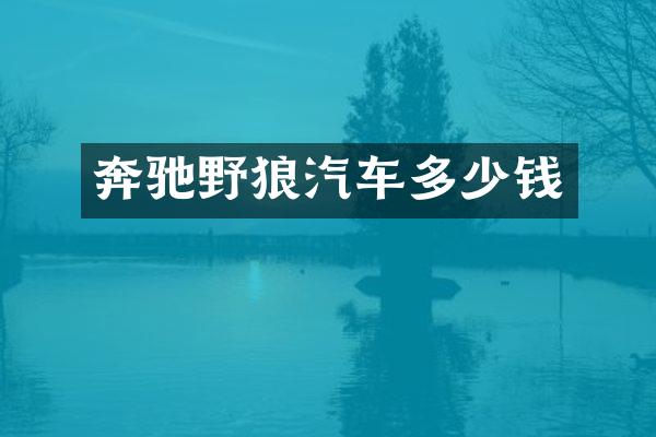 奔驰野狼汽车多少钱