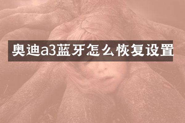 奥迪a3蓝牙怎么恢复设置