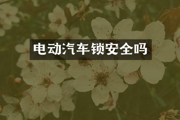 电动汽车锁安全吗