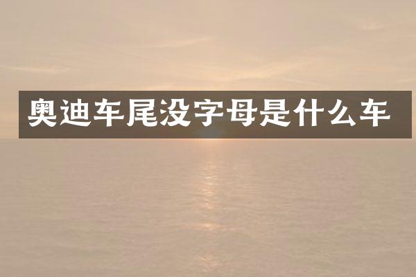 奥迪车尾没字母是什么车