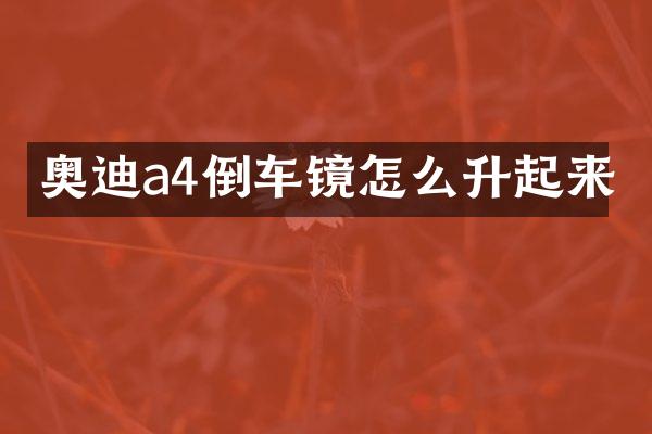 奥迪a4倒车镜怎么升起来
