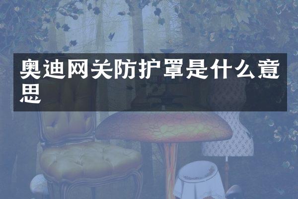 奥迪网关防护罩是什么意思