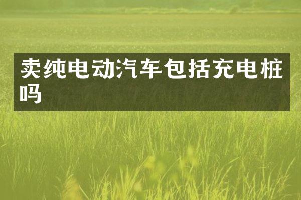 卖纯电动汽车包括充电桩吗