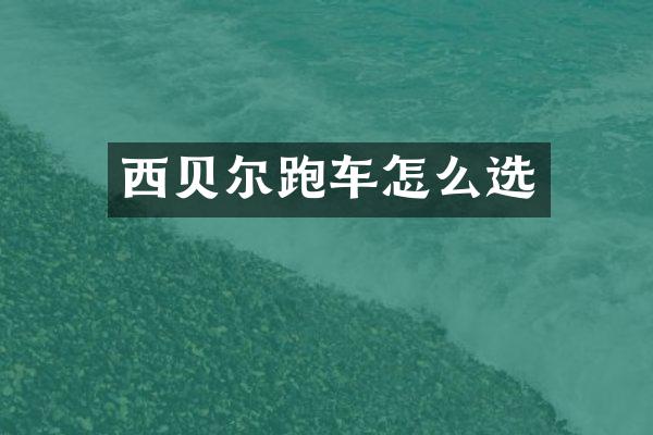 西贝尔跑车怎么选
