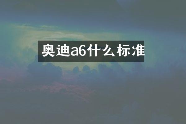奥迪a6什么标准