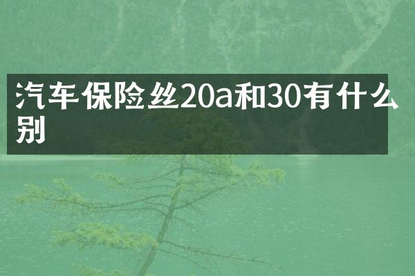 汽车保险丝20a和30有什么区别