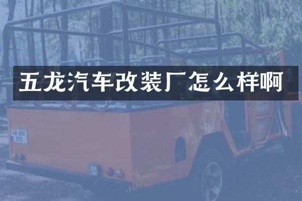五龙汽车改装厂怎么样啊