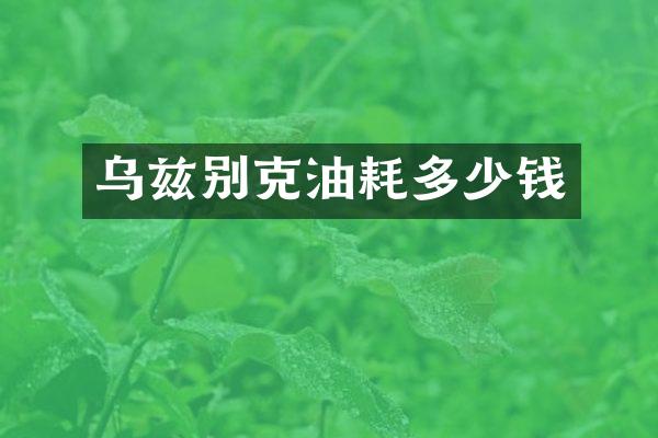 乌兹别克油耗多少钱