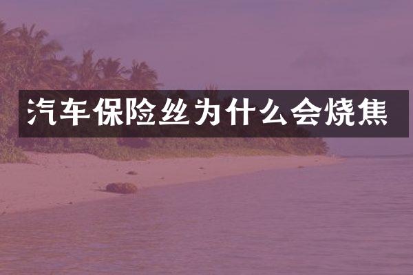 汽车保险丝为什么会烧焦