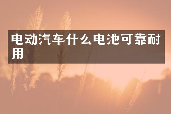 电动汽车什么电池可靠耐用