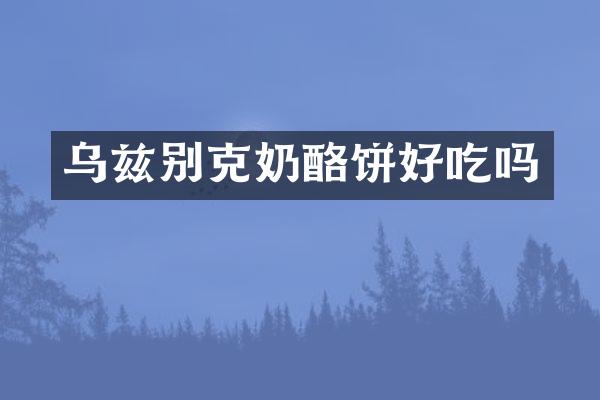 乌兹别克奶酪饼好吃吗