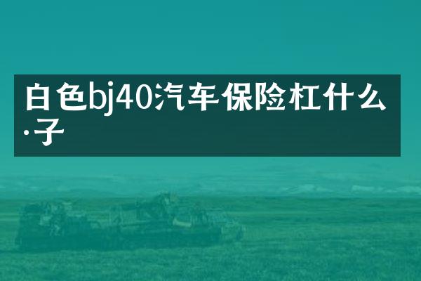 白j40汽车保险杠什么样子