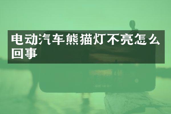 电动汽车熊猫灯不亮怎么回事