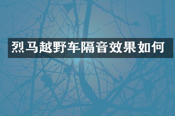 烈马越野车隔音效果如何