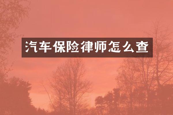 汽车保险律师怎么查