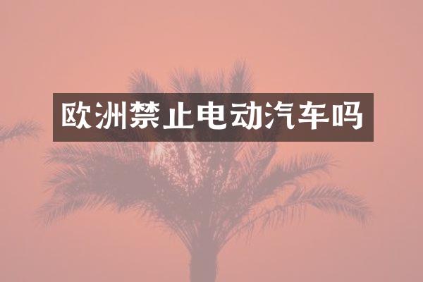 欧洲禁止电动汽车吗