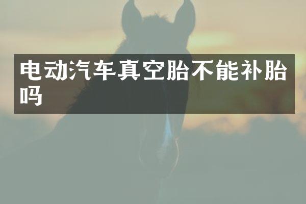 电动汽车真空胎不能补胎吗