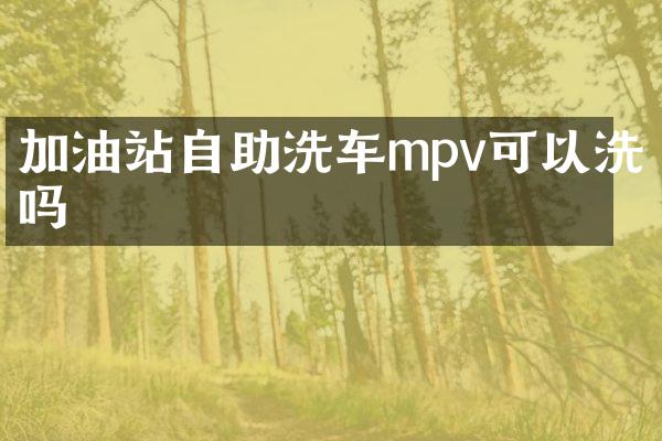 加油站自助洗车mpv可以洗吗