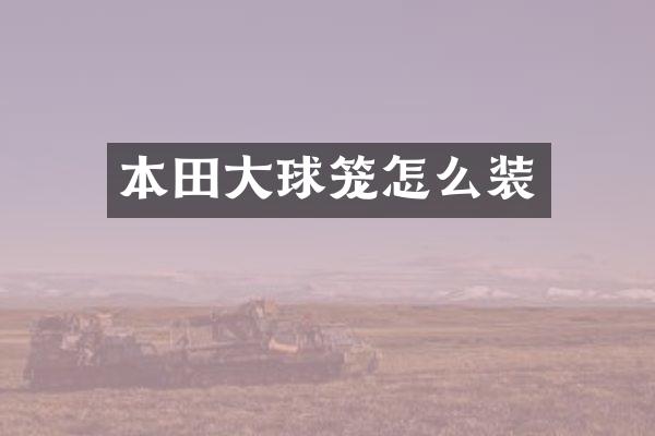 本田大球笼怎么装